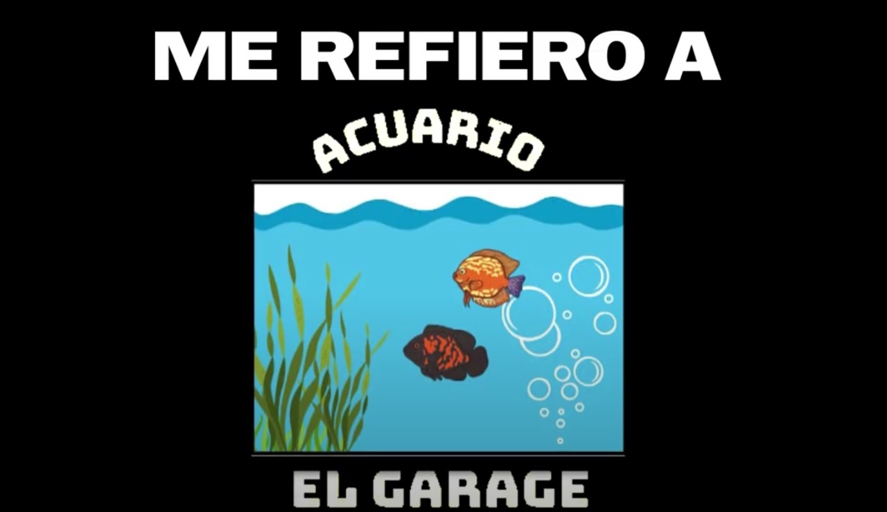 video-5